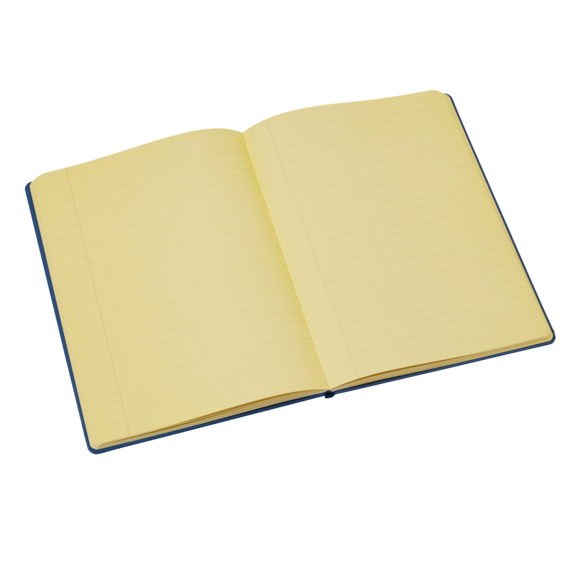 Tinted paper sales